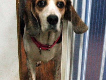 1380944434-3199684089