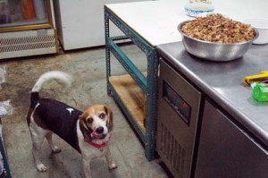 1380944435-3524967723