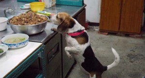 1380944435-586471123