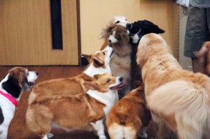 1380944446-1592666383