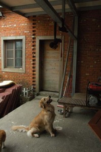 1380944447-453690321