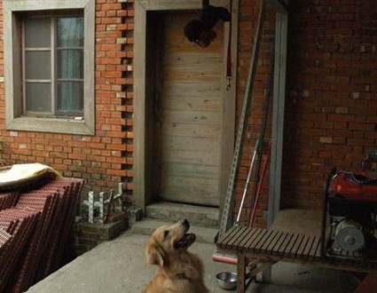 1380944447-453690321