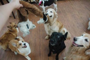 1380944447-677922914