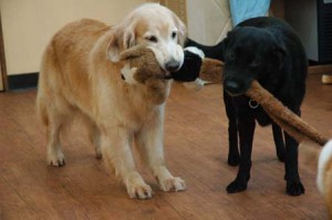 1380944448-1044523881