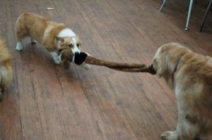 1380944448-3719143529