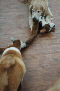 1380944449-241056184