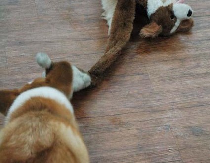 1380944449-241056184