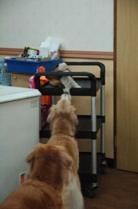 1380944450-1039857157