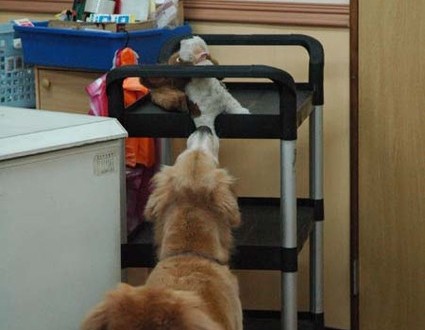 1380944450-1039857157