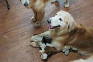 1380944450-4277404549