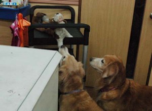 1380944450-926561298