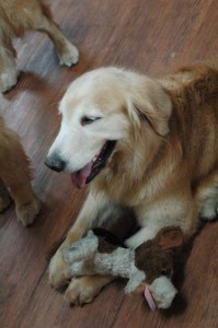 1380944451-1140559561