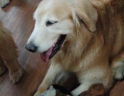 1380944451-1140559561