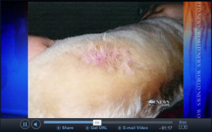 1380944455-577026389