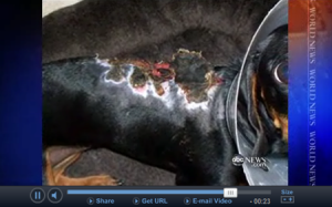 1380944456-3364359116