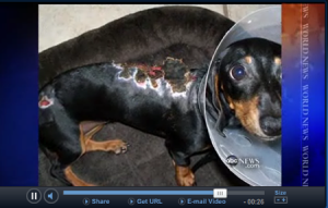 1380944457-1617278479