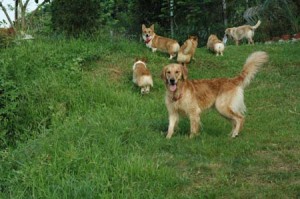 1380944459-2231486190