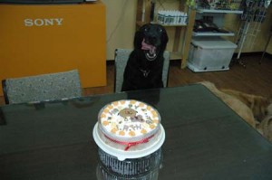 1380944474-341785026