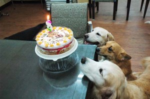 1380944475-2876145956