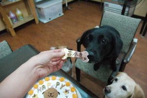 1380944477-1010976624