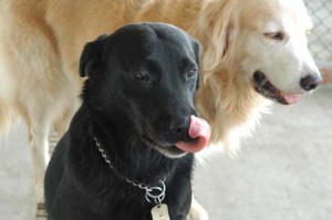 1380944477-2162902380