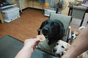 1380944478-221067111