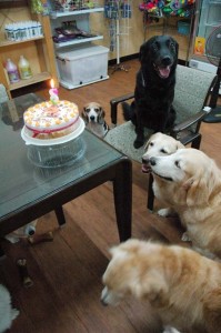 1380944478-4251432703