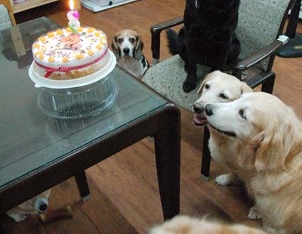 1380944478-4251432703