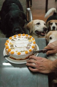 1380944479-1127987872