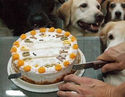 1380944479-1127987872