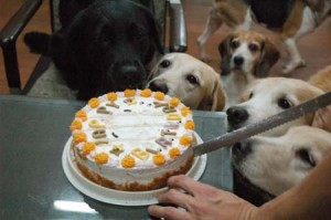 1380944480-4286159410