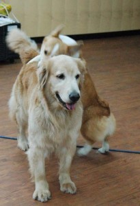 1380944489-2296302689