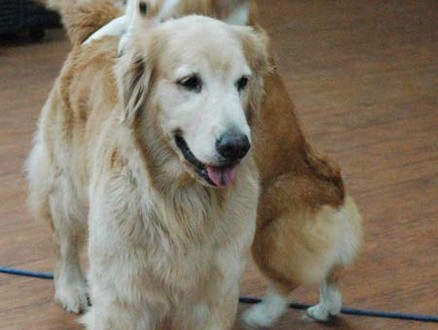 1380944489-2296302689