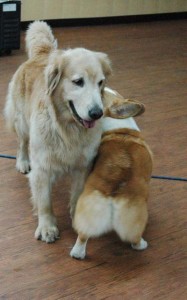 1380944489-2417595152