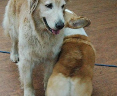 1380944489-2417595152