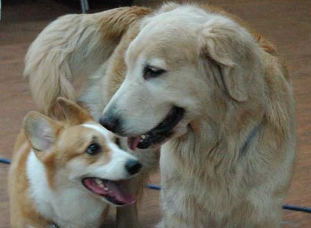 1380944489-2941935953