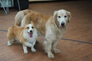 1380944490-1192372779