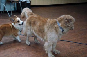 1380944490-3738672276