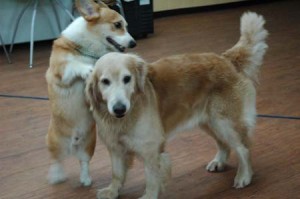 1380944491-1282867762