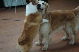 1380944491-239660089