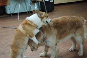 1380944492-1178725942