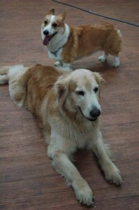 1380944492-2683407768