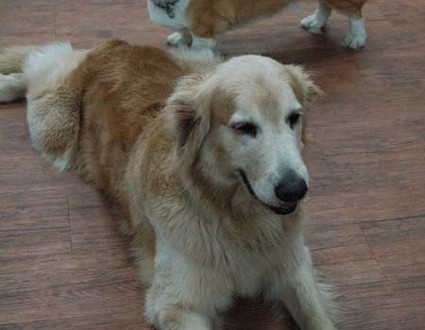 1380944492-2683407768