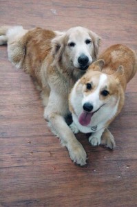 1380944492-462320050