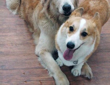 1380944492-462320050