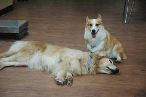 1380944493-3699106149