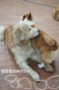 1380944493-4191976545