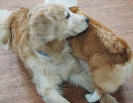 1380944493-4191976545