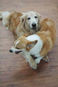 1380944494-1136483291