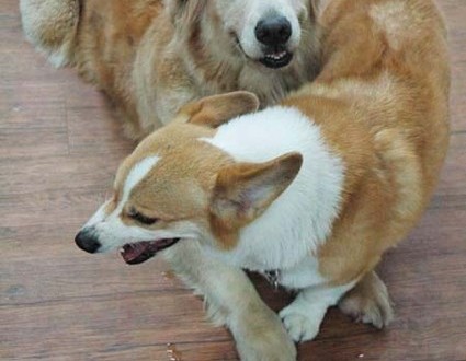 1380944494-1136483291